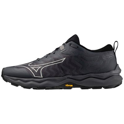 Zapatillas Para Correr Mizuno WAVE Daichi 8 GTX Mujer Negros / Plateados - Chile M531OSKJAN